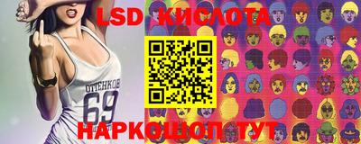 ГАЛЛЮЦИНОГЕННЫЕ ГРИБЫ Камышлов