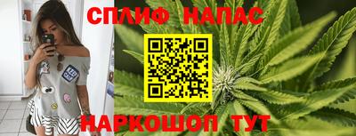 мдпв Канаш
