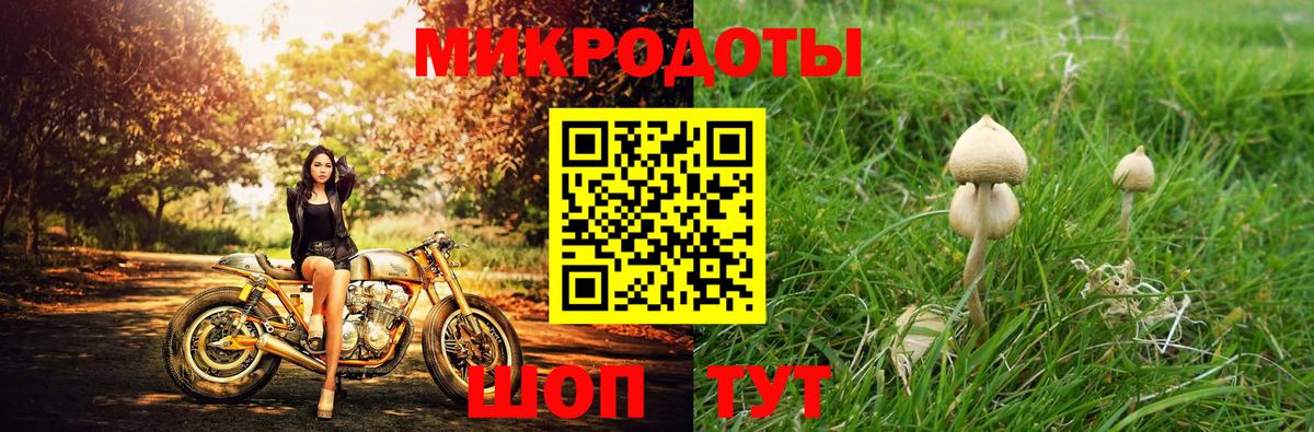 Псилоцибиновые грибы Psilocybine cubensis Куйбышев